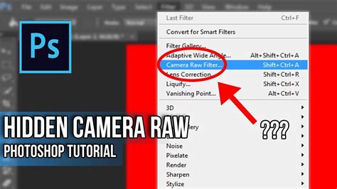 Adobe Camera Raw 17.2